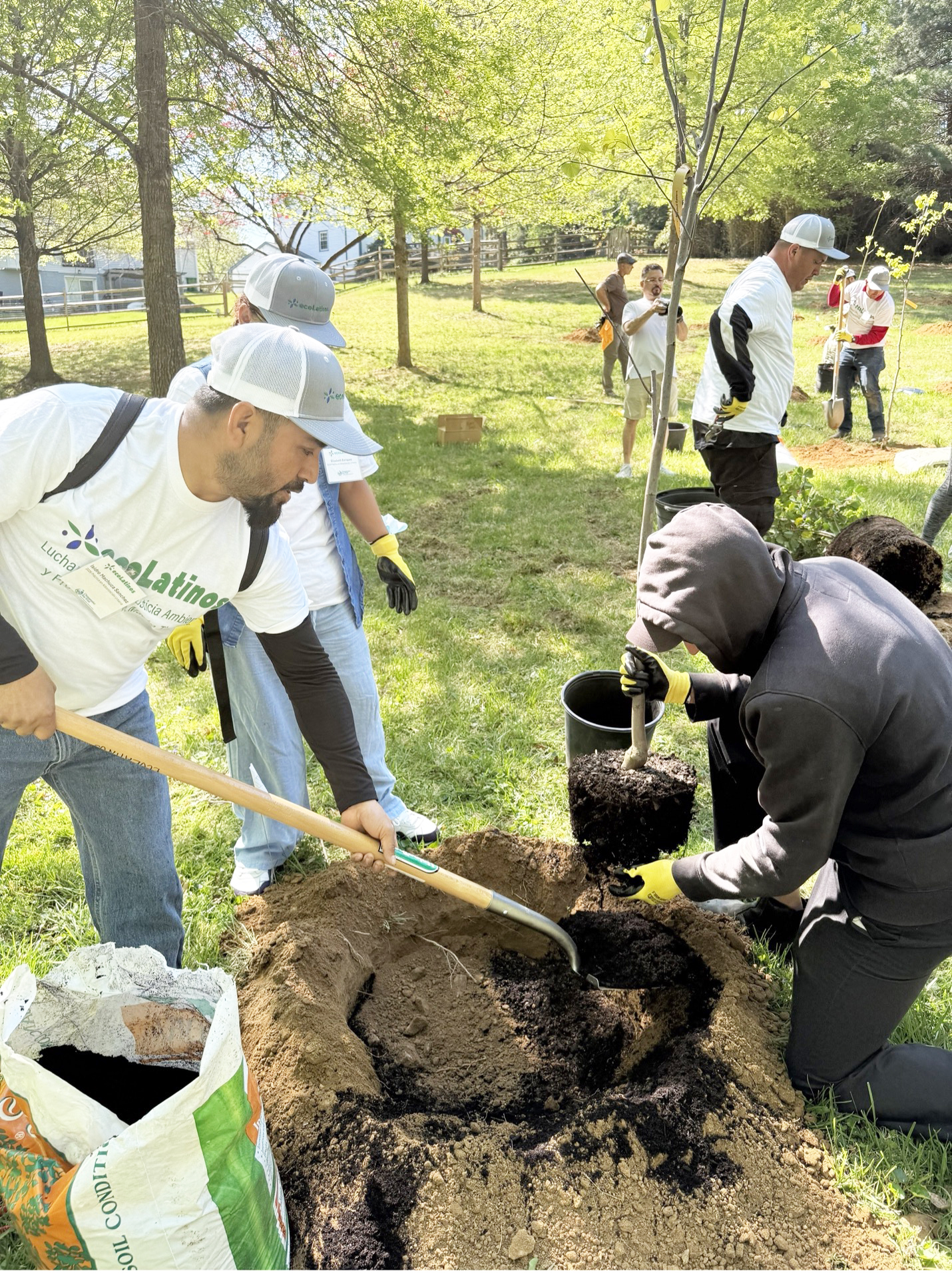 EcoLatinos celebró el Día de la Tierra plantando árboles